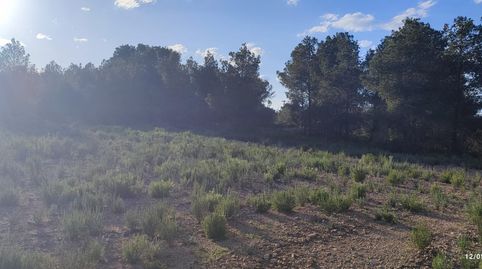 Terreno de mas de 10.000m2 con posibilidad de agua, immagine 4
