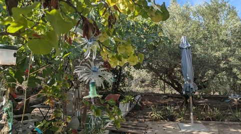 Foto 4 de Casa o xalet en venda a El Fenazar - Campotéjar, Molina de Segura