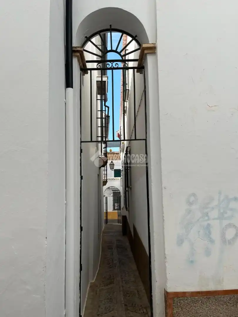 Vista exterior de Casa o xalet en venda en Carmona amb Aire condicionat, Calefacció i Moblat