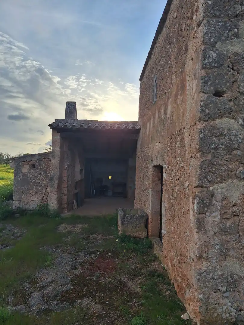 Vista exterior de Finca rústica en venta en Algaida