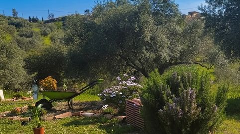 A la VENTA exclusiva PARCELA RÚSTICA de 5.000 m² con MOBIL HOME en Alora, immagine 4