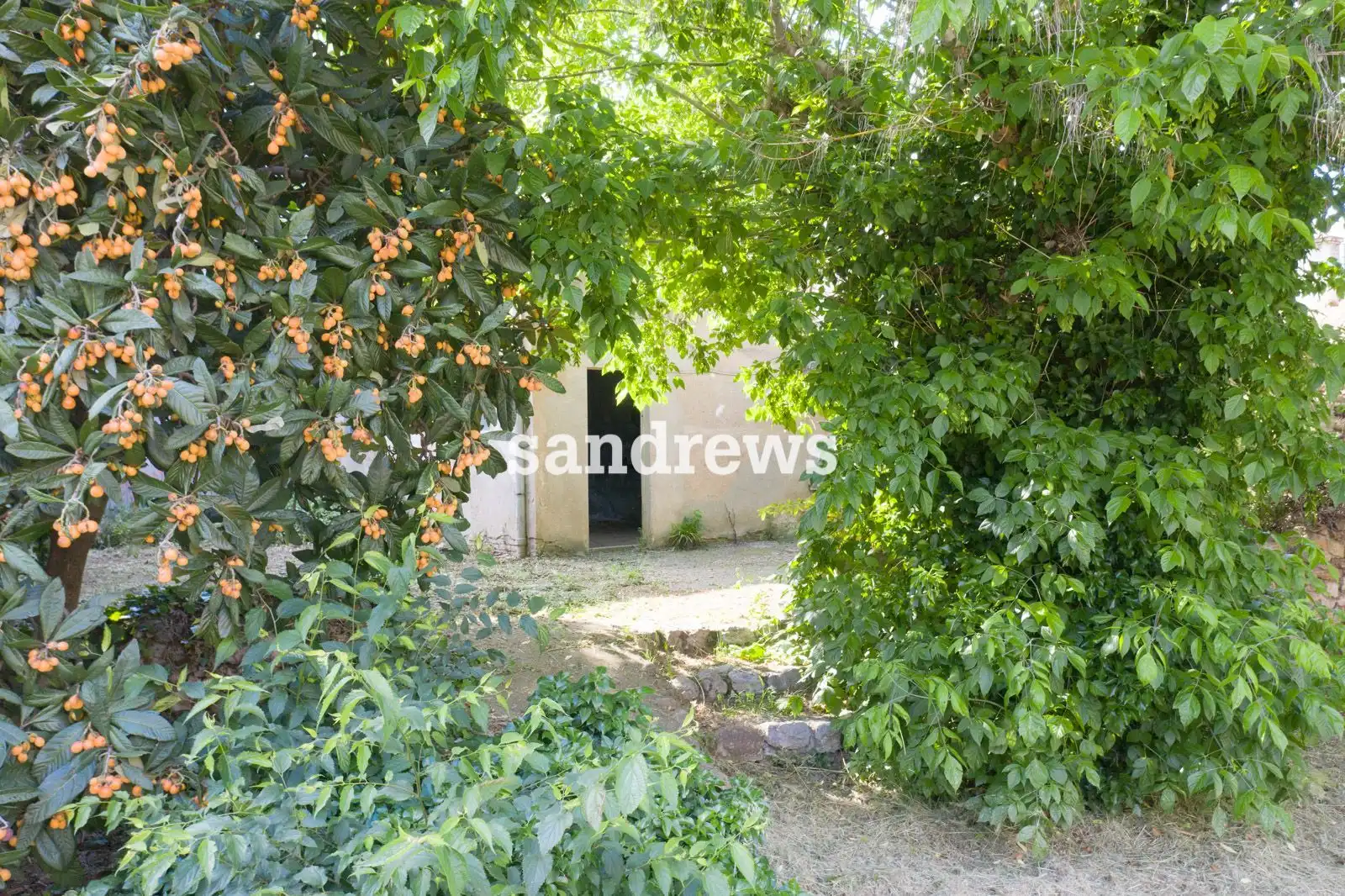 Grundstücke und Bauplätze zum Verkauf in Carretera de Roses - Fossos, imagen 17