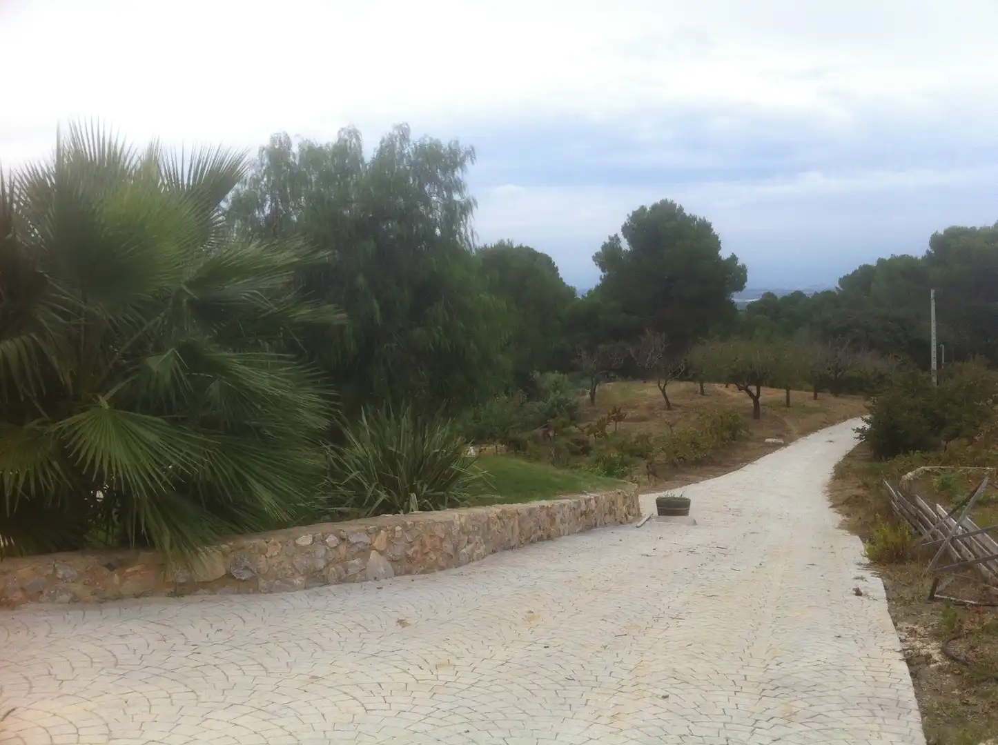 Country house with terrace for sale in Almoster, imagen 30
