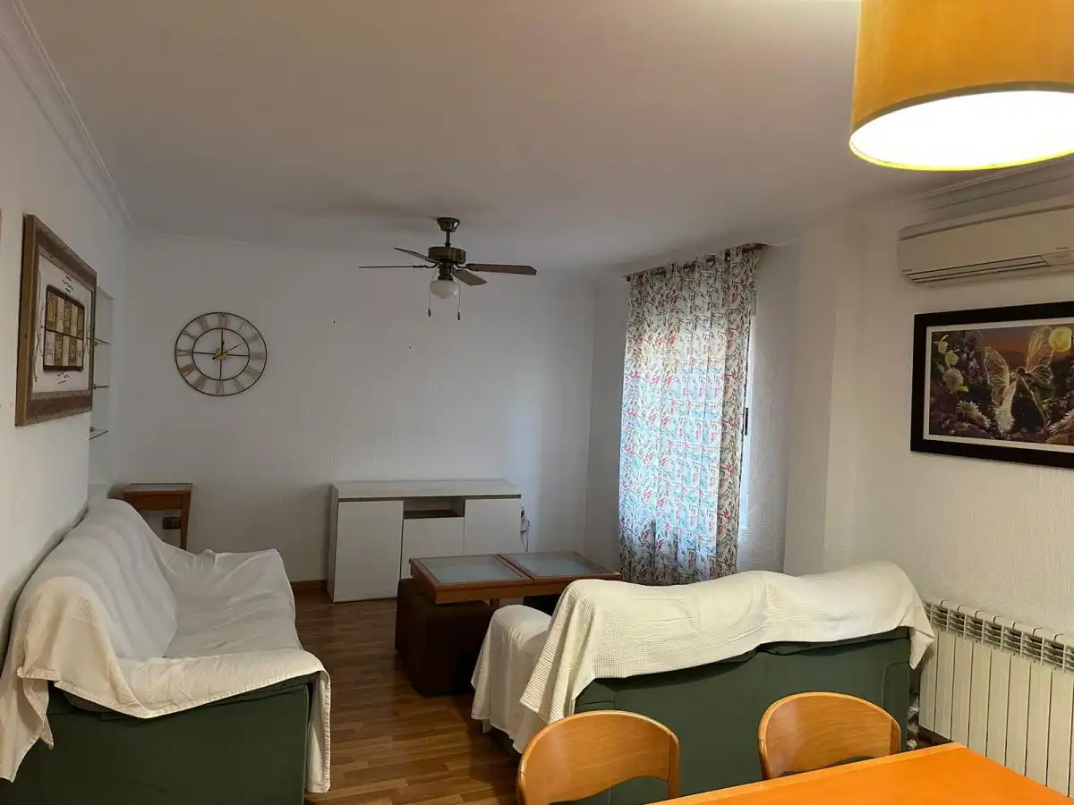 Sala de estar de Piso en venta en Albacete con Aire acondicionado, Calefacción y Parquet