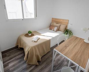 Apartament per a compartir a País Valencià
