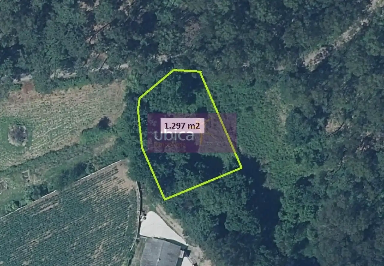 Lands and plots for sale in Salceda de Caselas