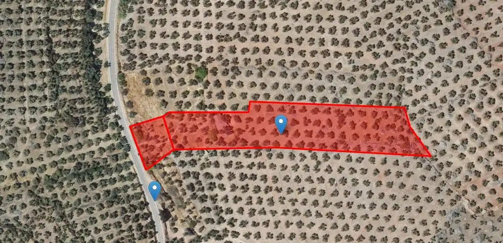 Land for sale in Montizón