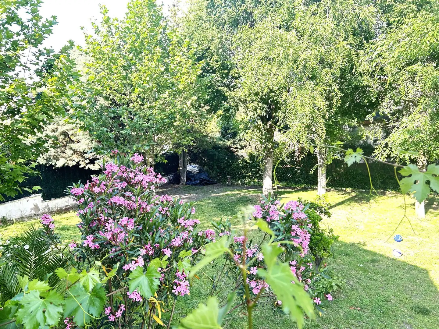Jardín de Casa o chalet de alquiler en Tudela de Duero con Calefacción, Jardín privado y Amueblado