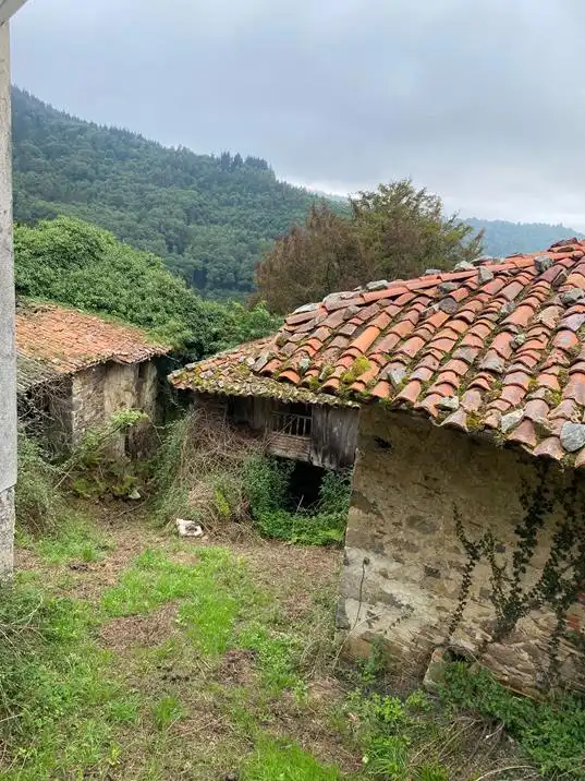 Vista exterior de Finca rústica en venta en Salas
