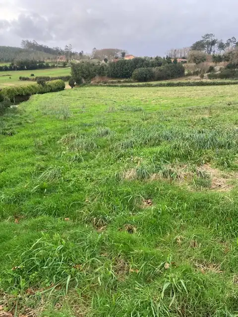 Residential land for sale in Campa San Roque 3, imagen 12