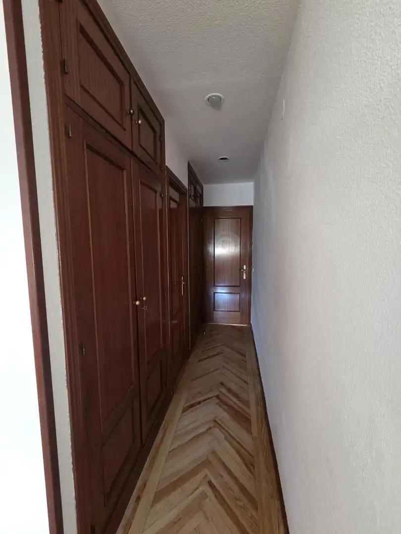 Wohnung zur Miete in Calle de Cavanilles, Pacífico