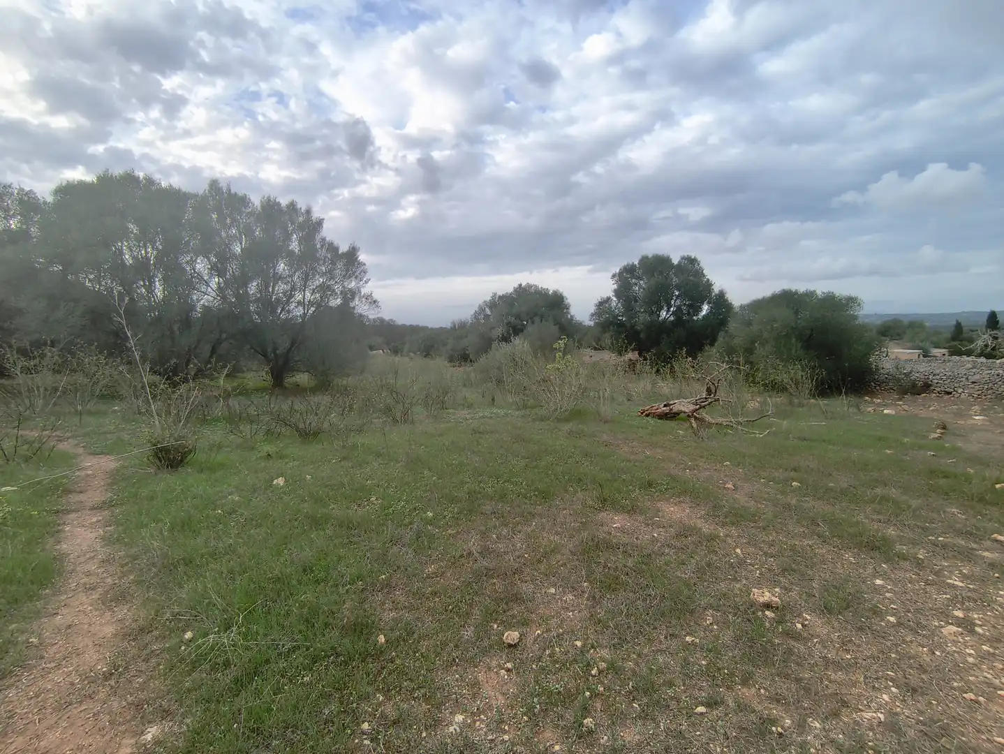 Rural land for sale in Ariany, imagen 14