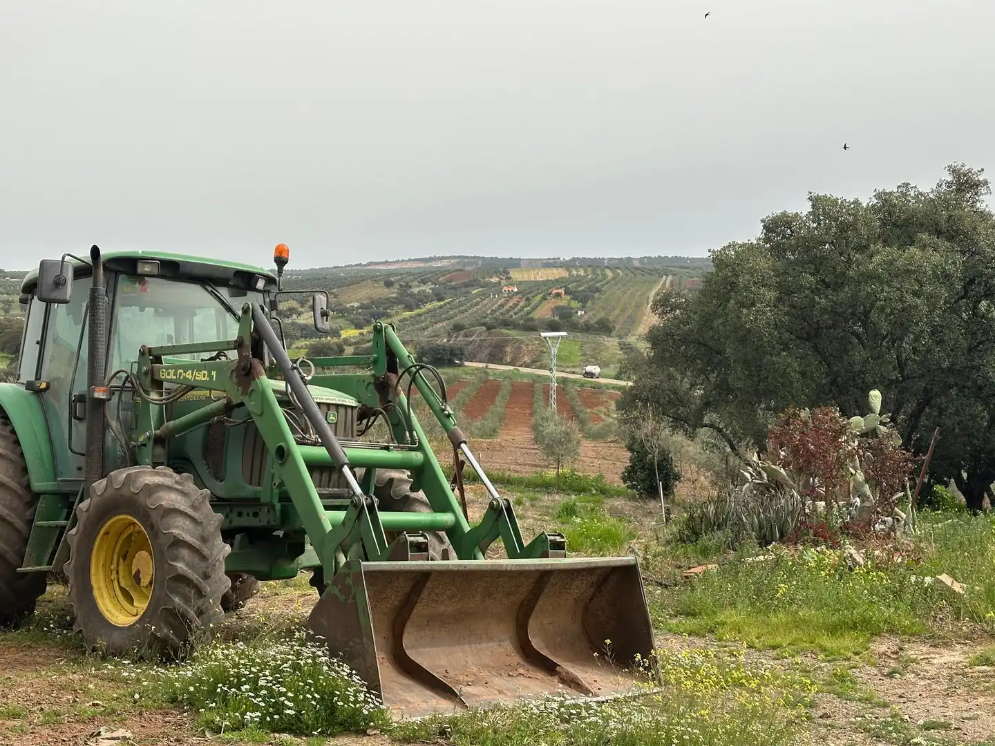 Finca rústica en venta en Oliva de Mérida