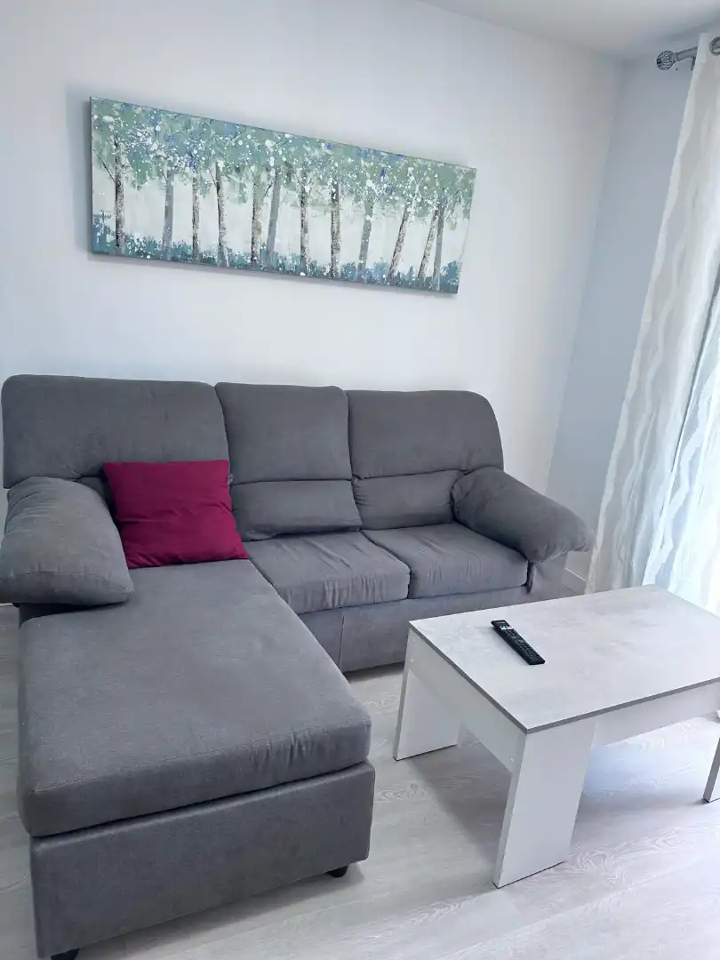 Sala d'estar de Pis de lloguer en Roquetas de Mar amb Aire condicionat, Terrassa i Moblat