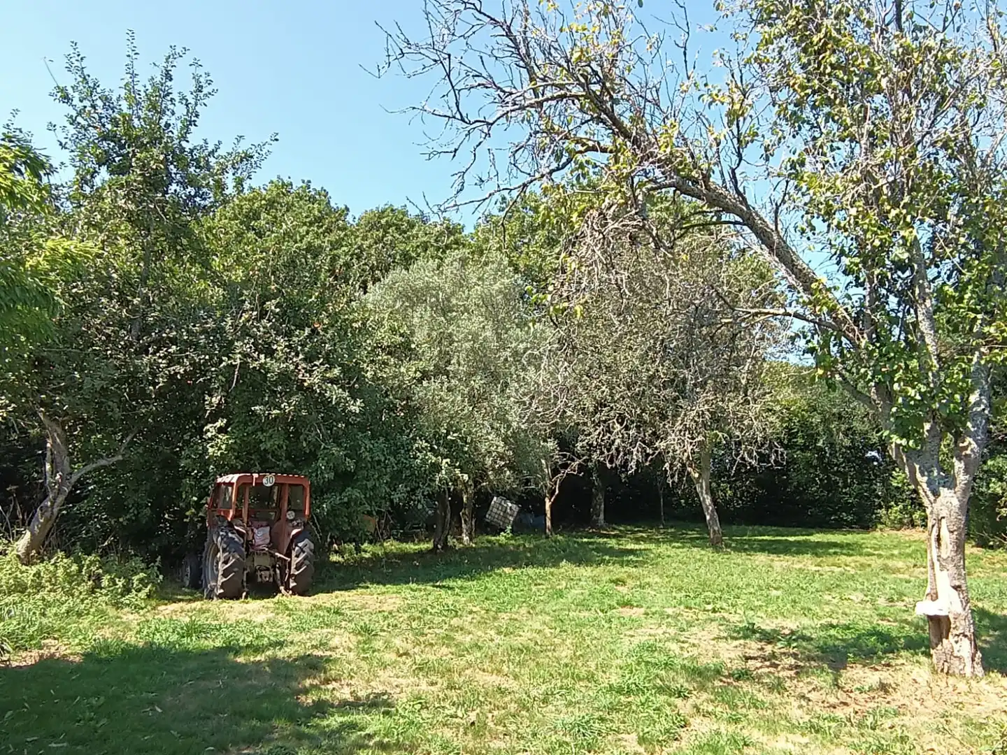 Casa o xalet en venda a Aranga