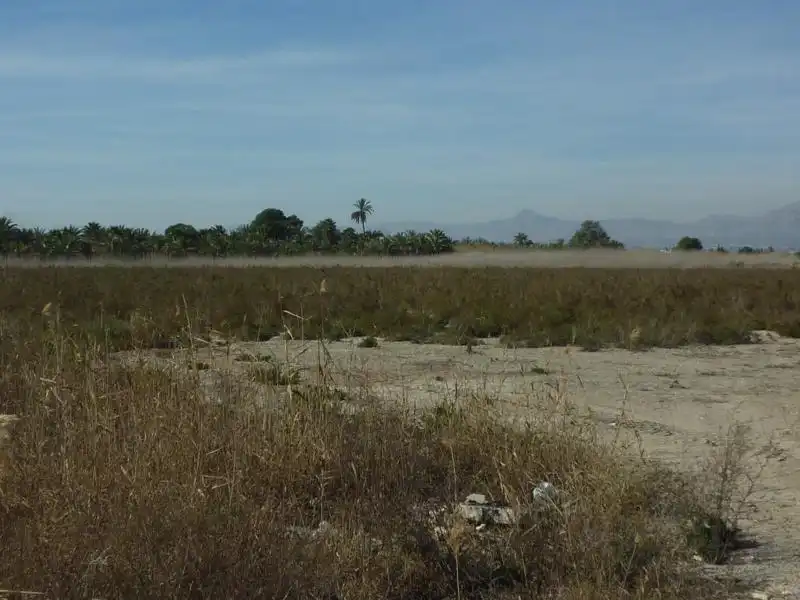 Terreno rustico in vendita a Calle Valle Inclán 7, imagen 12