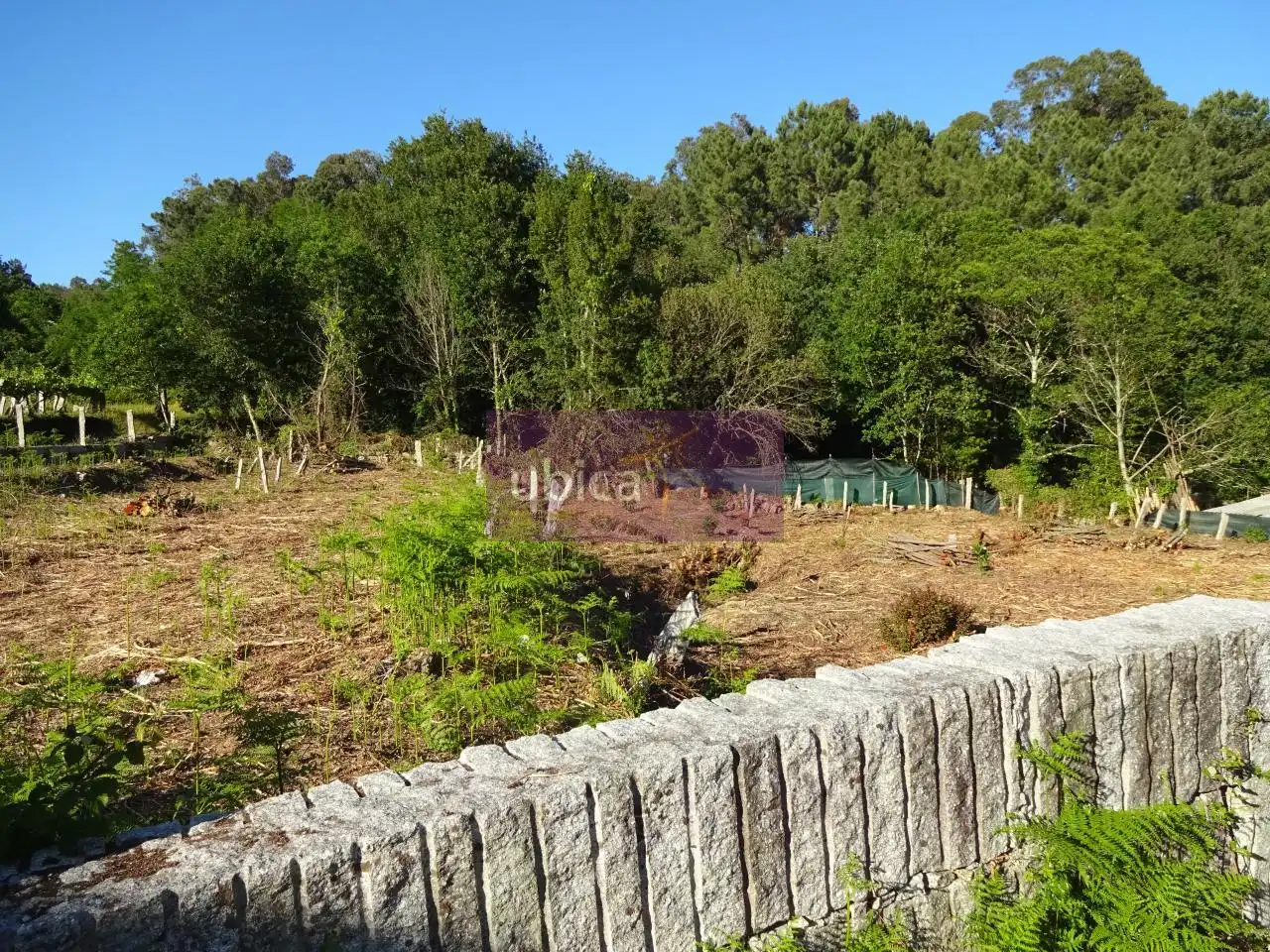 Lands and plots for sale in Salceda de Caselas, imagen 3