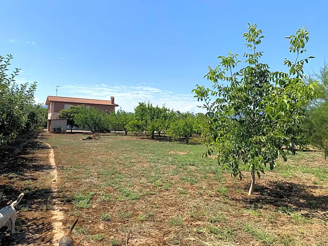 Casa o xalet en venda en  Logroño amb Calefacció, Parquet i Terrassa