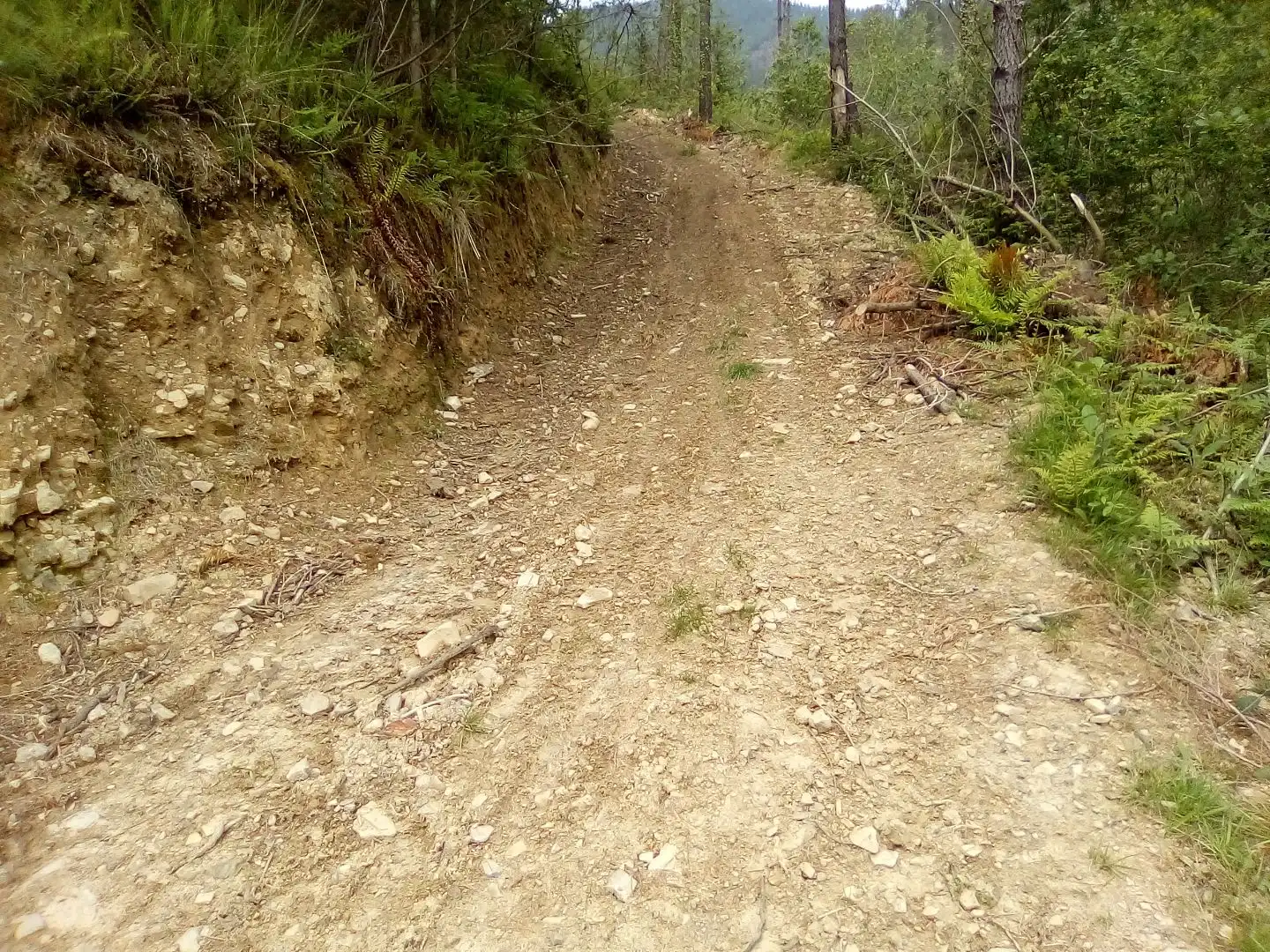 Exterior view of Land for sale in Aulesti
