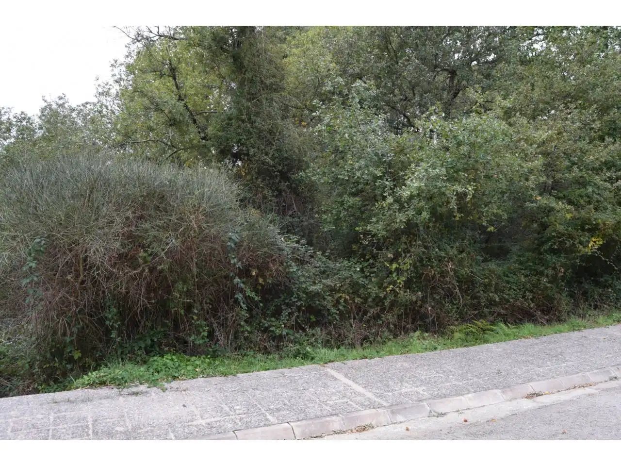 Terreny residencial en venda a Calle urb aigues bones II, imagen 7