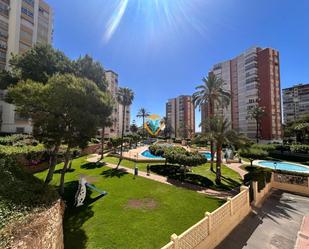 Vista exterior de Planta baixa en venda en Benidorm amb Aire condicionat, Terrassa i Piscina comunitària