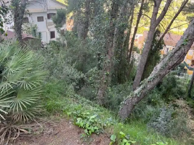 Wohnbaugrundstück zum Verkauf in Carretera Chiva-Buñol, imagen 6
