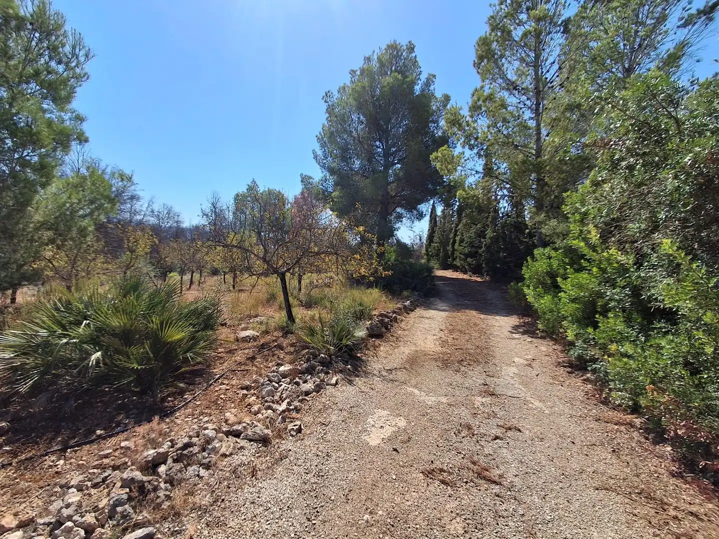 Houses for sale in Xerta