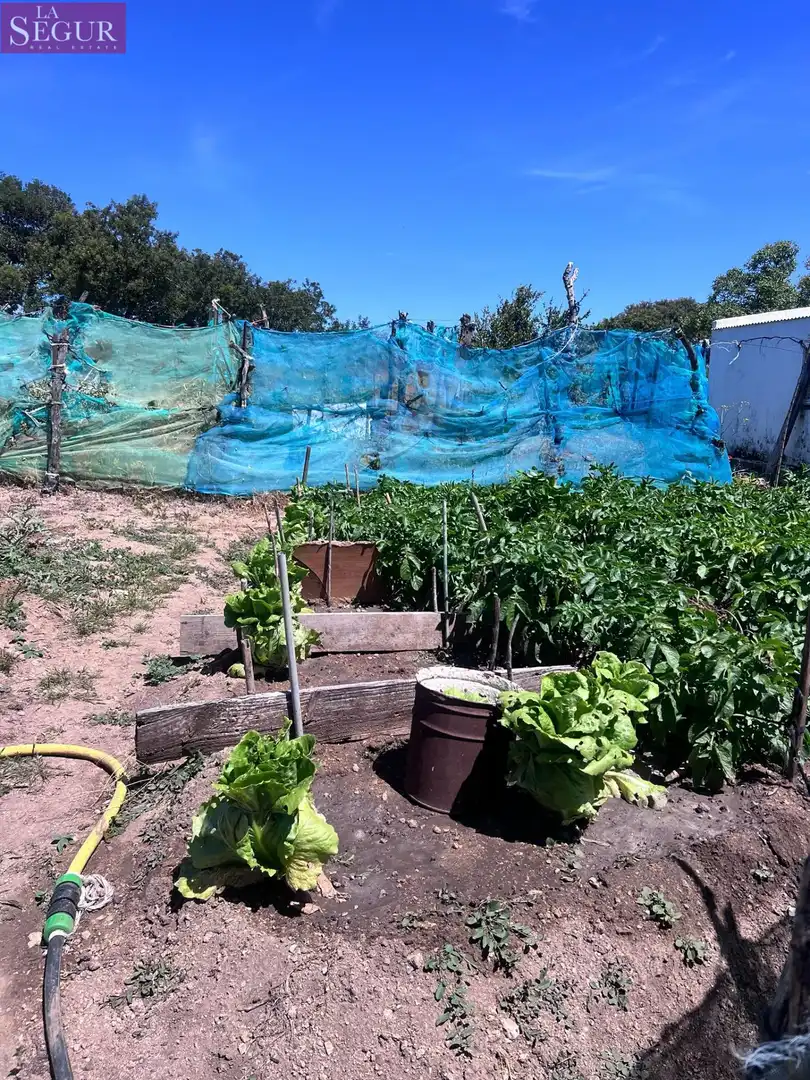 Jardí de Finca rústica en venda en Vejer de la Frontera