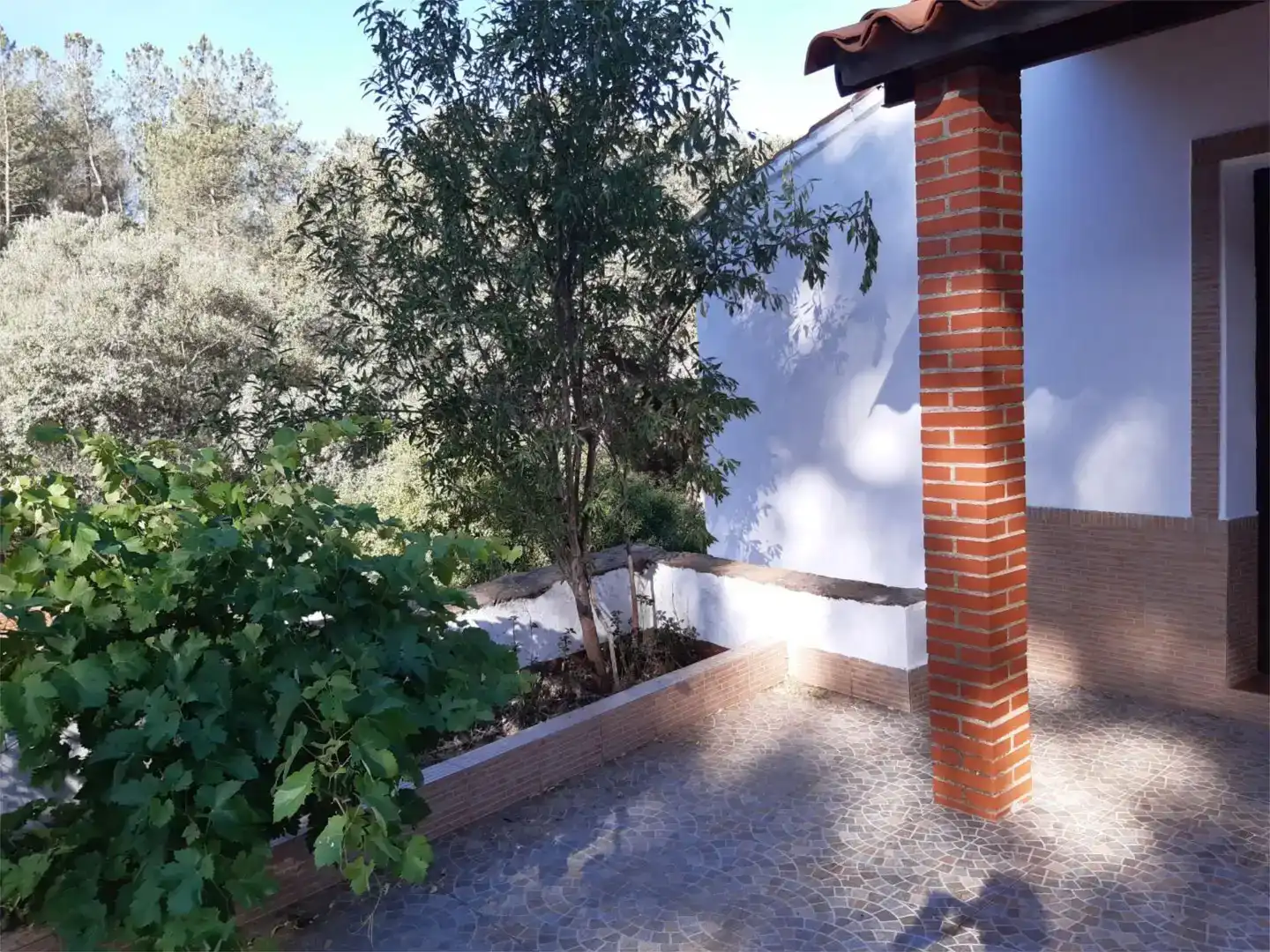 Jardín de Finca rústica en venta en Fuentes de León
