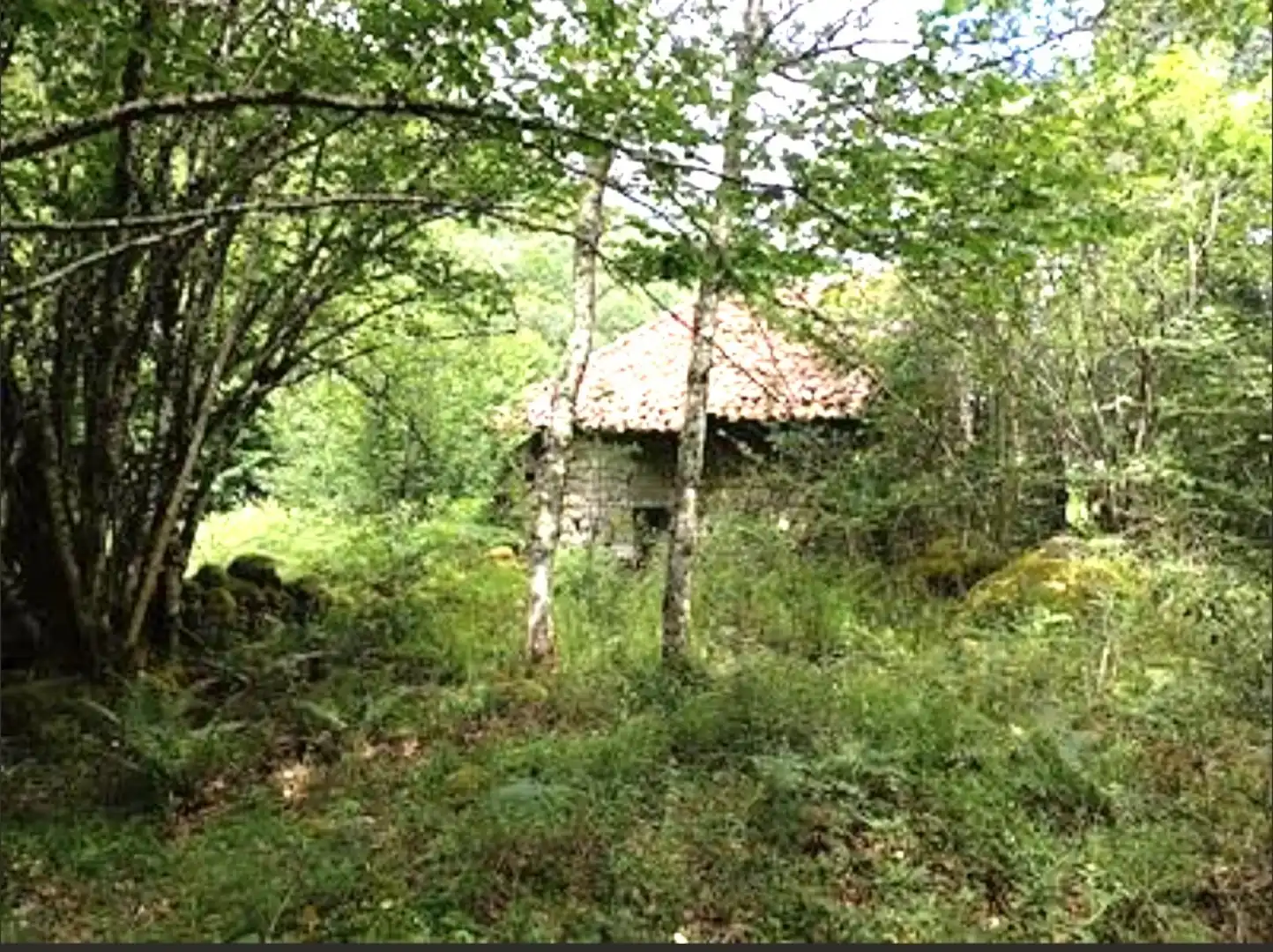 Casa con giardino in vendita a Cosío - PRAUCOS