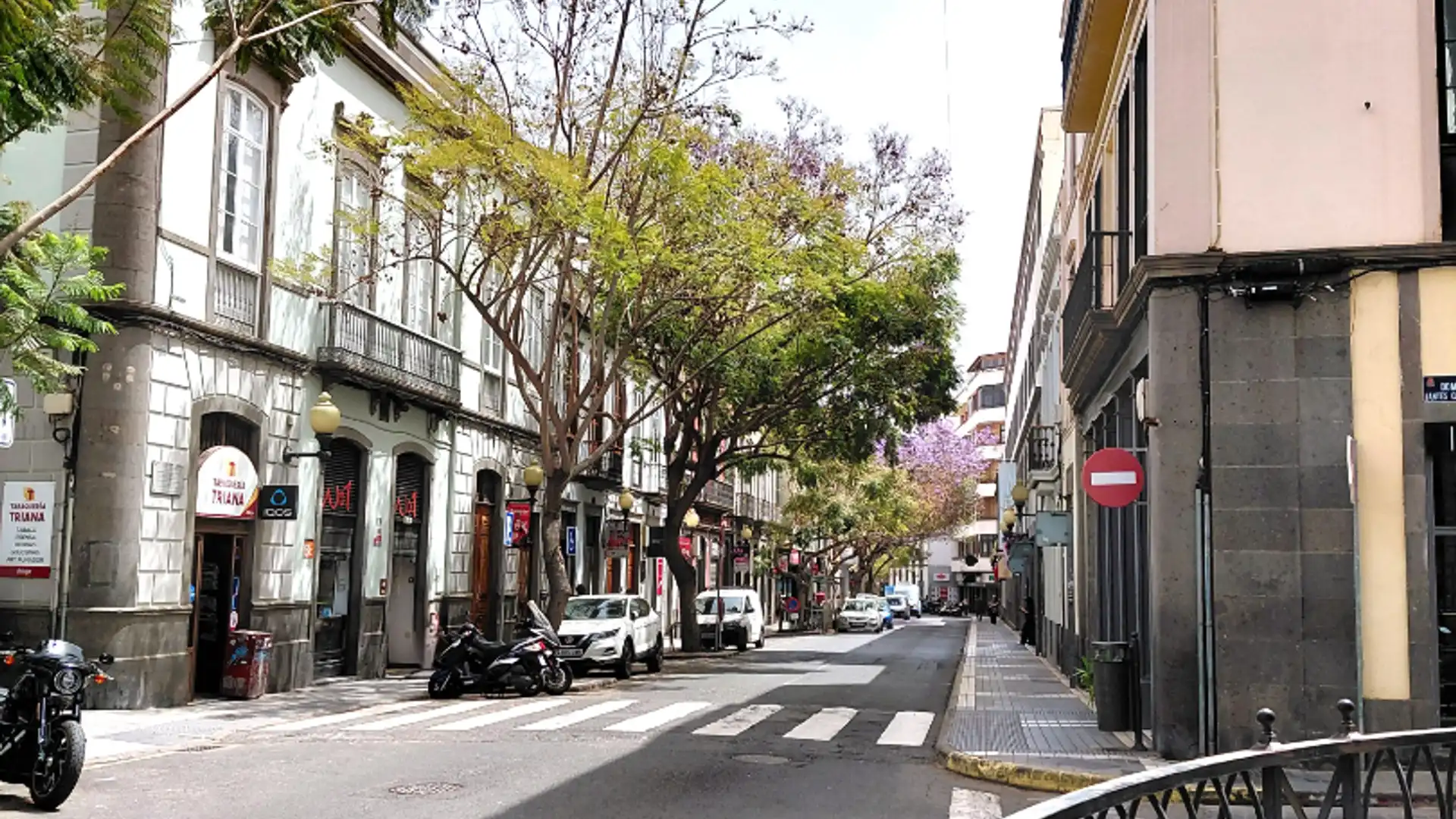 Piso de alquiler en Calle Viera y Clavijo, Triana, Centro