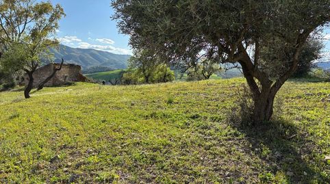 Suelo en venta en Riogordo, immagine 4