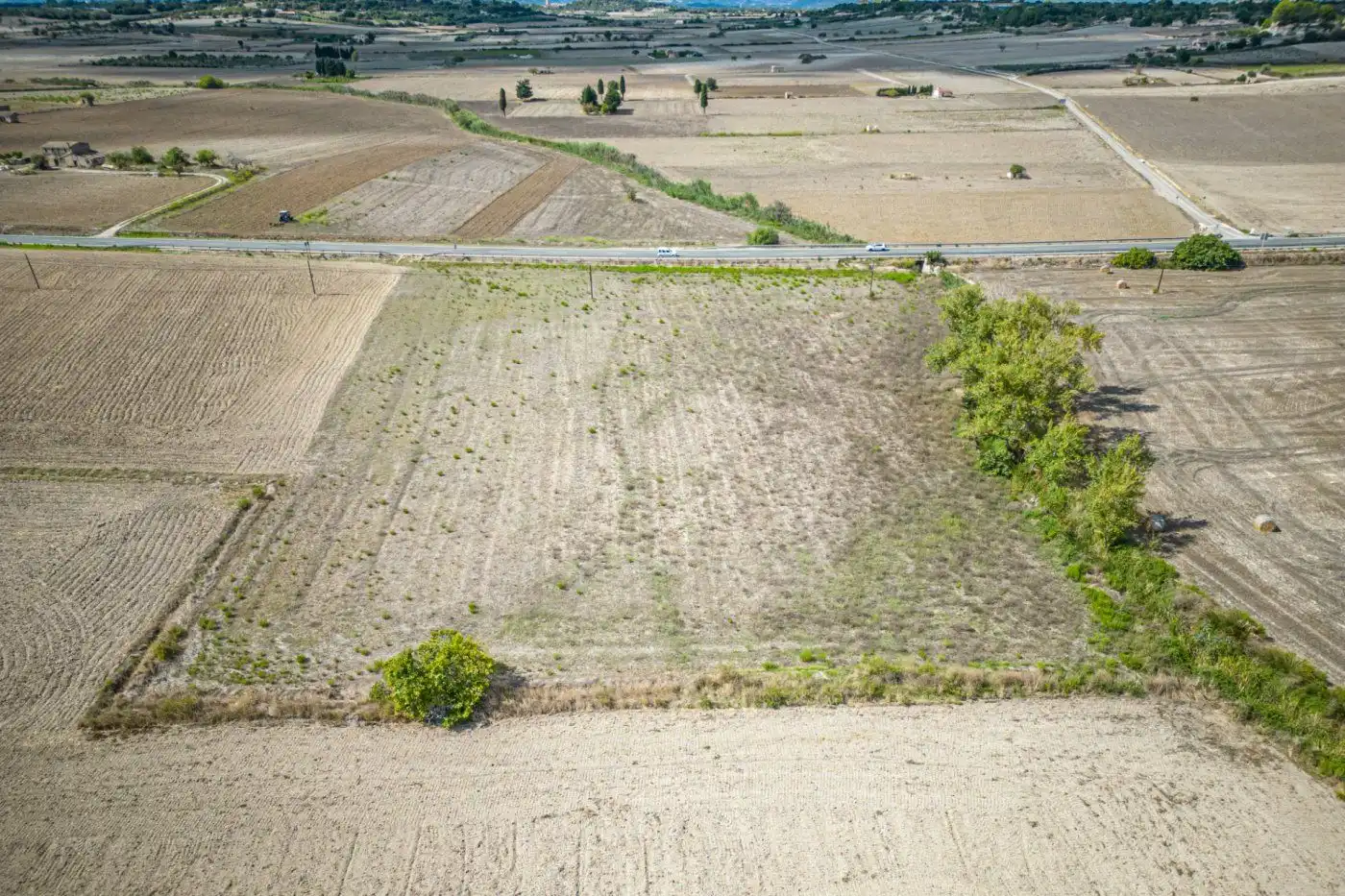 Terreno rustico in vendita a Santa Margalida Poble, imagen 11