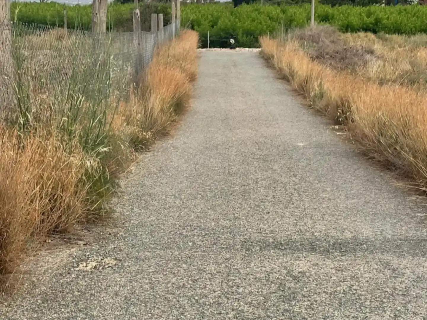 Vista exterior de Finca rústica en venda en Orihuela amb Jardí privat i Traster