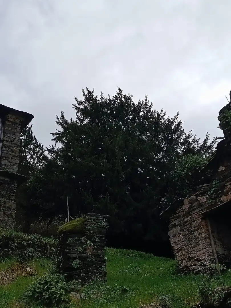 Jardí de Finca rústica en venda en A Pontenova   amb Jardí privat, Terrassa i Balcó