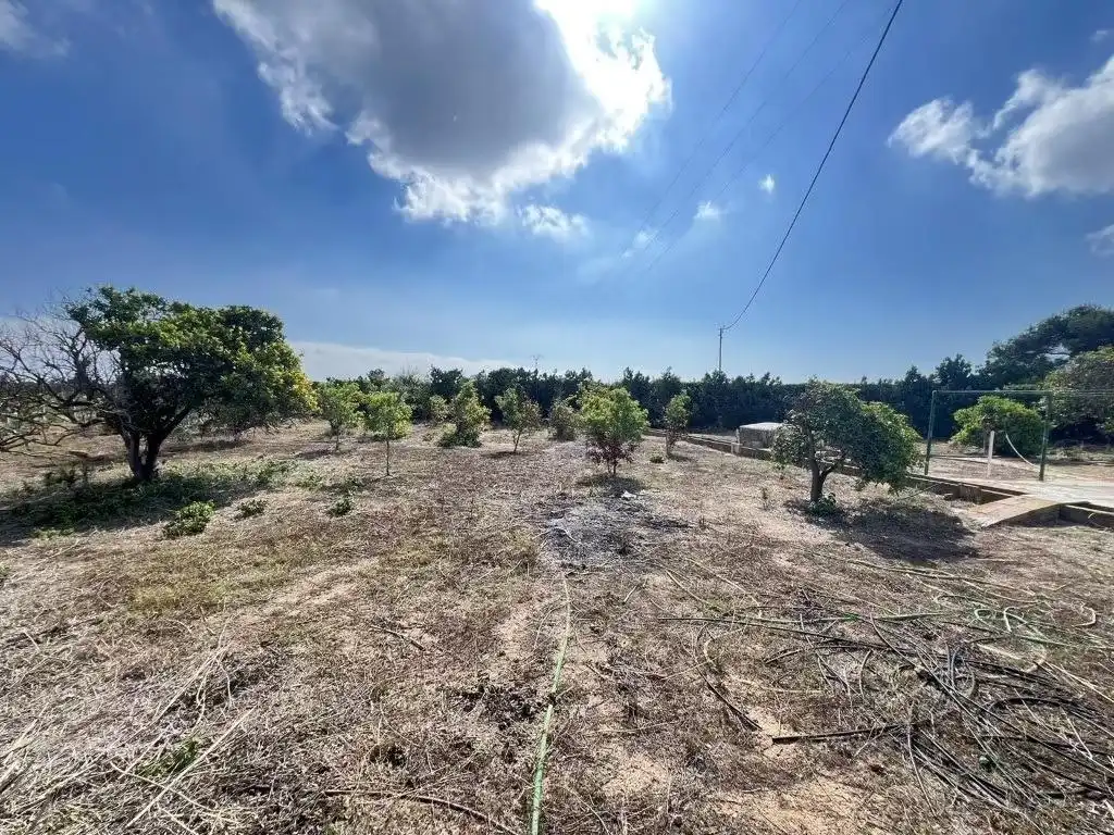 Villa avec jardin à vendre à El Marenyet, imagen 16