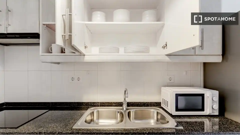 Cuina de Apartament per a compartir en Barcelona amb Aire condicionat, Calefacció i Terrassa