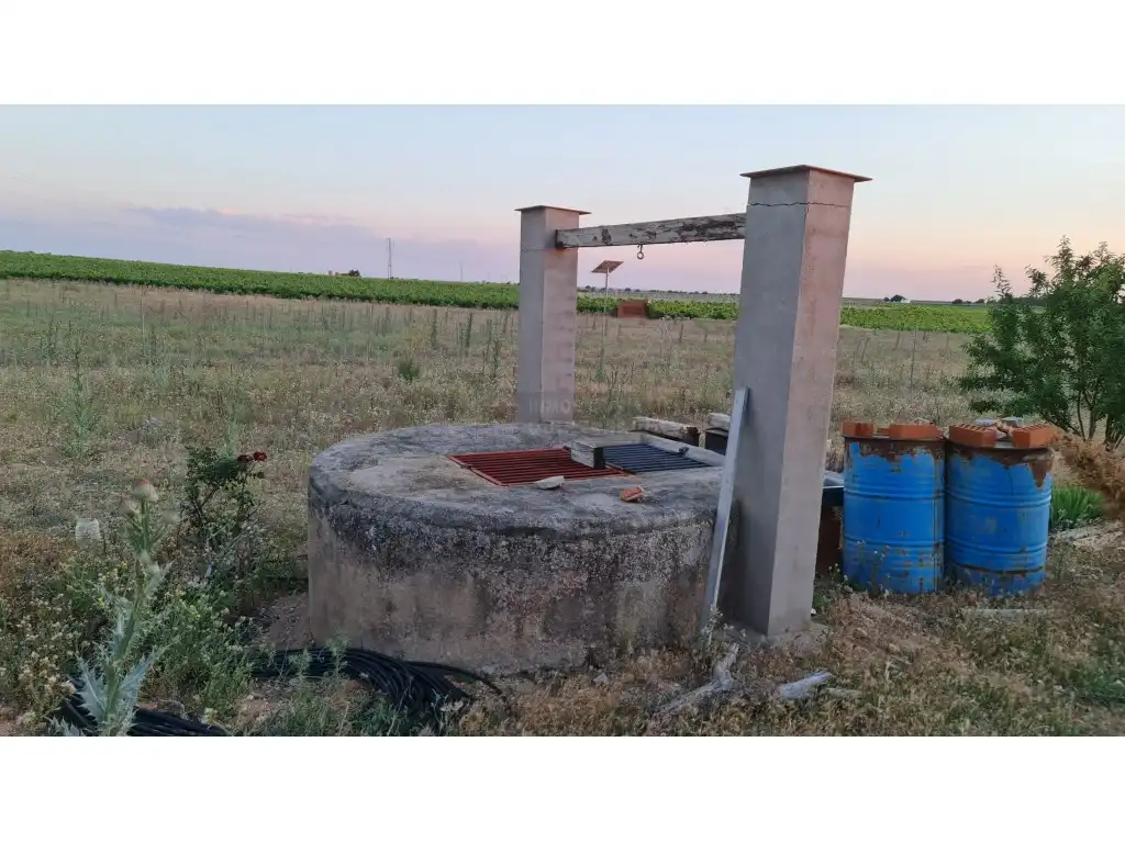 Terrenys i solars en venda a Camino del Mosto, imagen 2