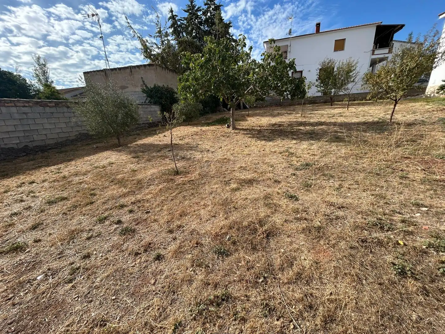 Lands and plots for sale in Mollina, imagen 11