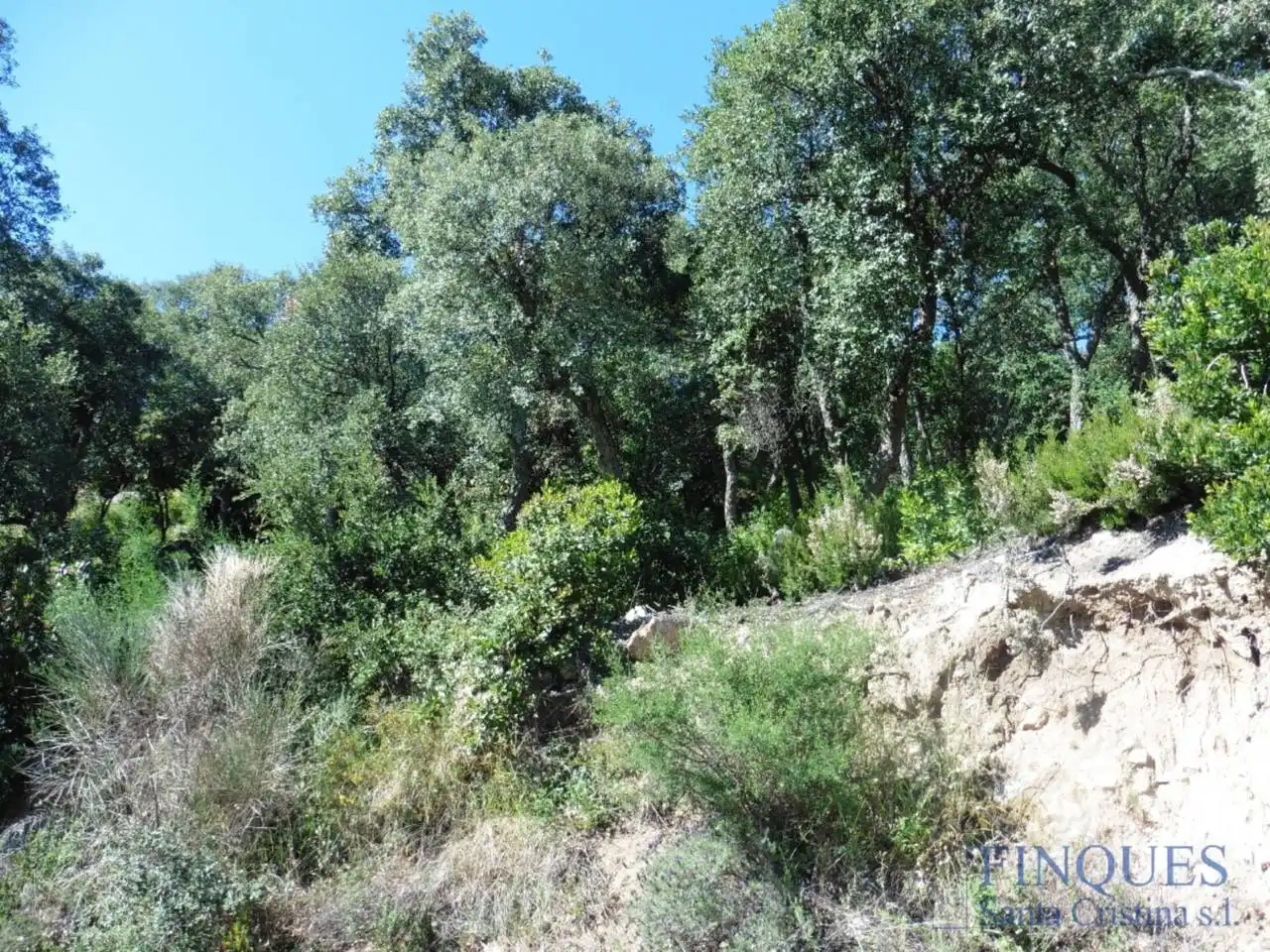 Rural land for sale in volta de l´arboç 241, imagen 3