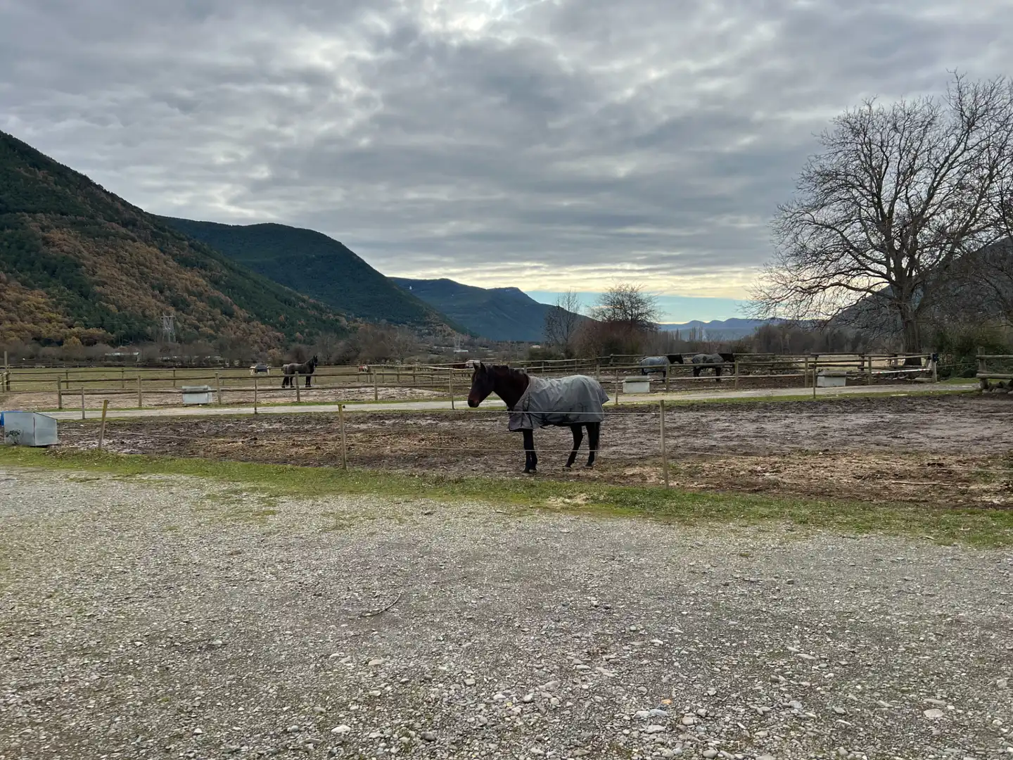 Terreni e lotti in vendita a Camino Oros Alto, imagen 61