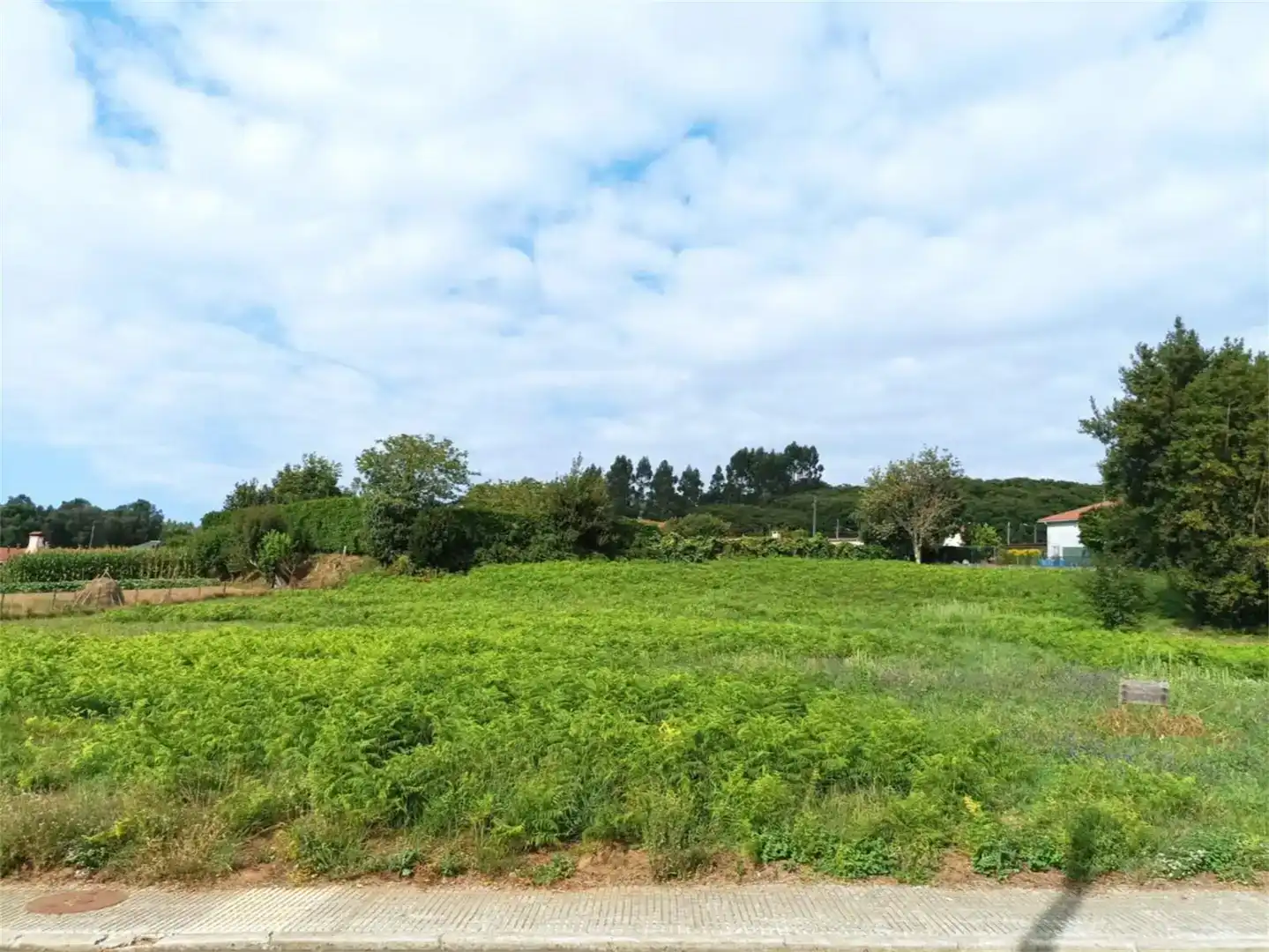 Terreno en venta en Oza dos Ríos