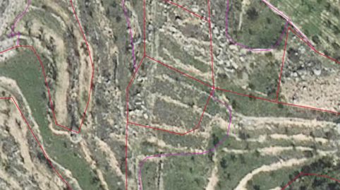 SE VENDE LOTE DE FINCAS EN MONTÓN