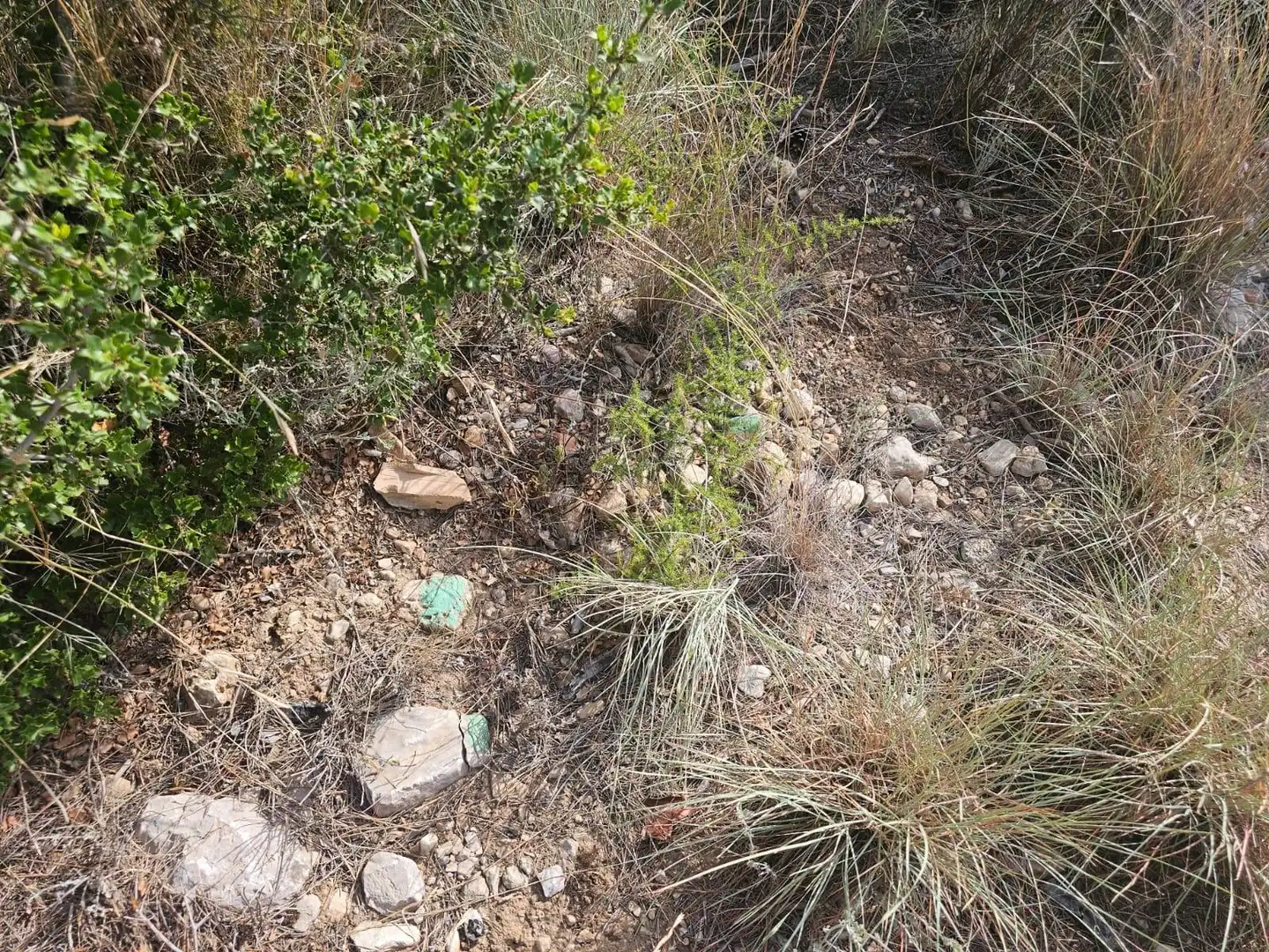Terreno en venta en Alcanar