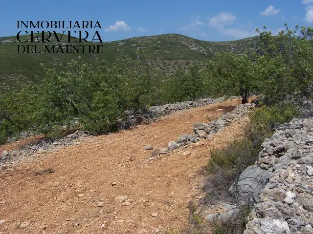Rural land for sale in Cervera del Maestre, imagen 12