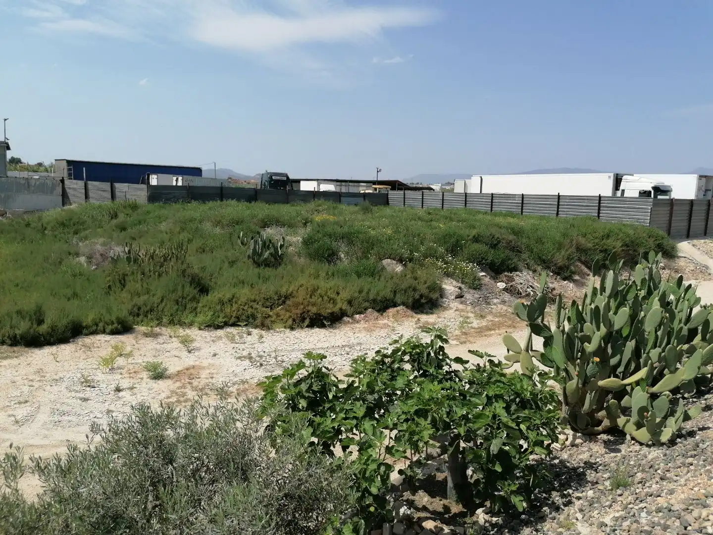 Terreno en venta en Murcia