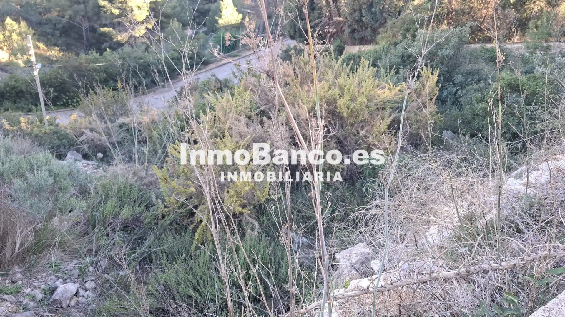 Residential land for sale in Calle Félix Pizcueta 67, imagen 38