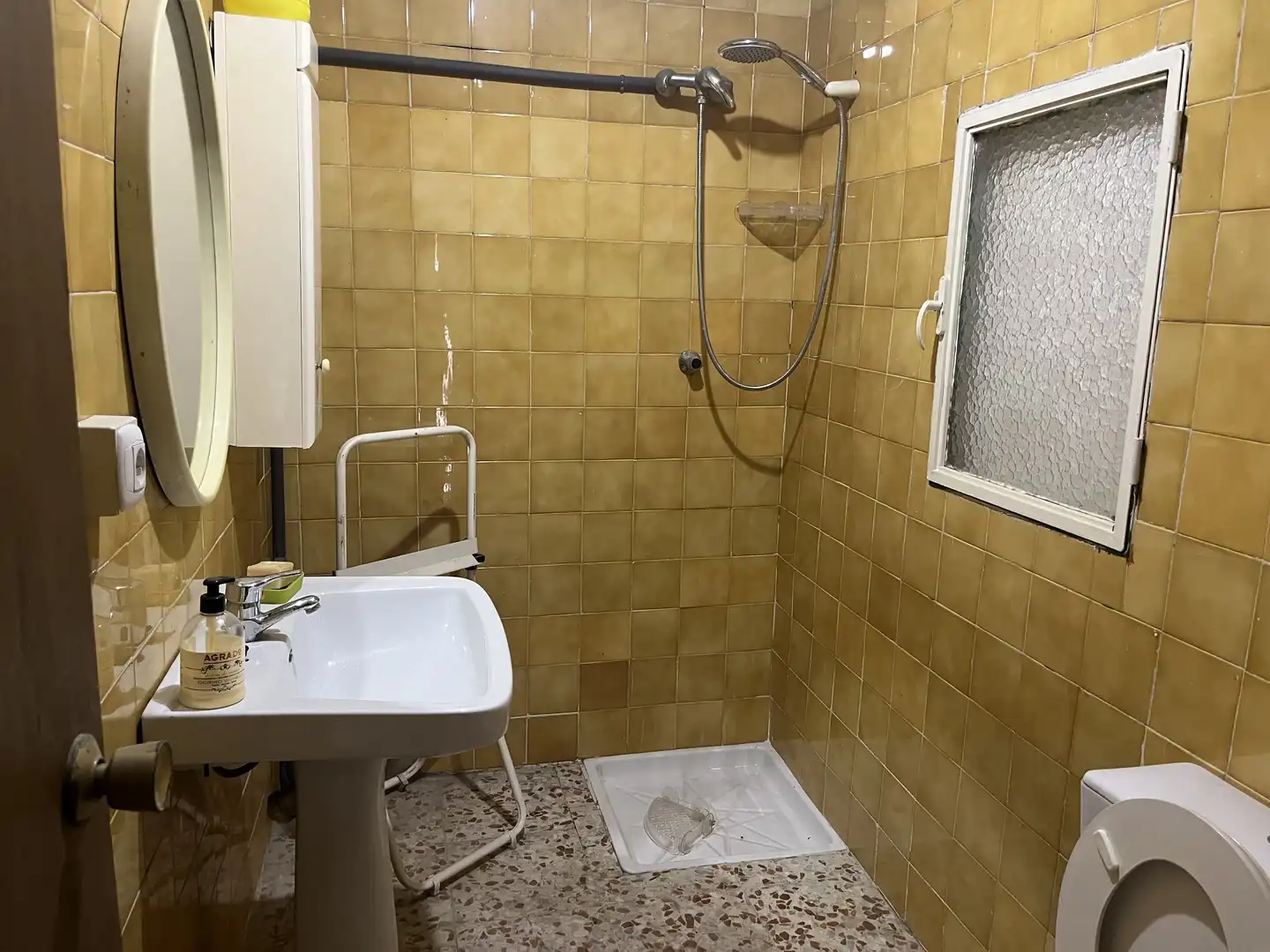 Bathroom of Industrial land for sale in La Malahá