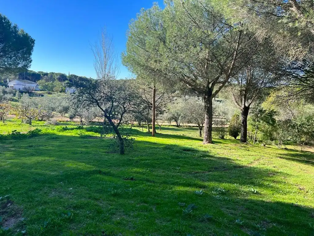 Casa rústica en venda a Andújar, imagen 23