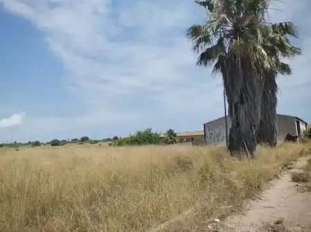 Terreny rústic en venda a PT S 33, imagen 9